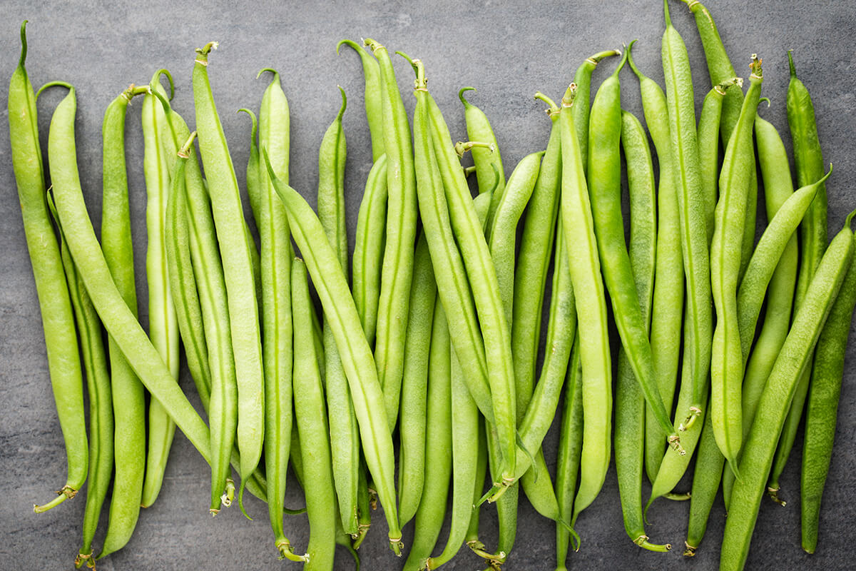 Green Beans for a Dog - Best vegetables for your dog