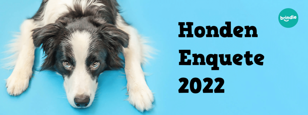 Onderzoek: Statistieken over honden in in 2021 - Brindle Blog