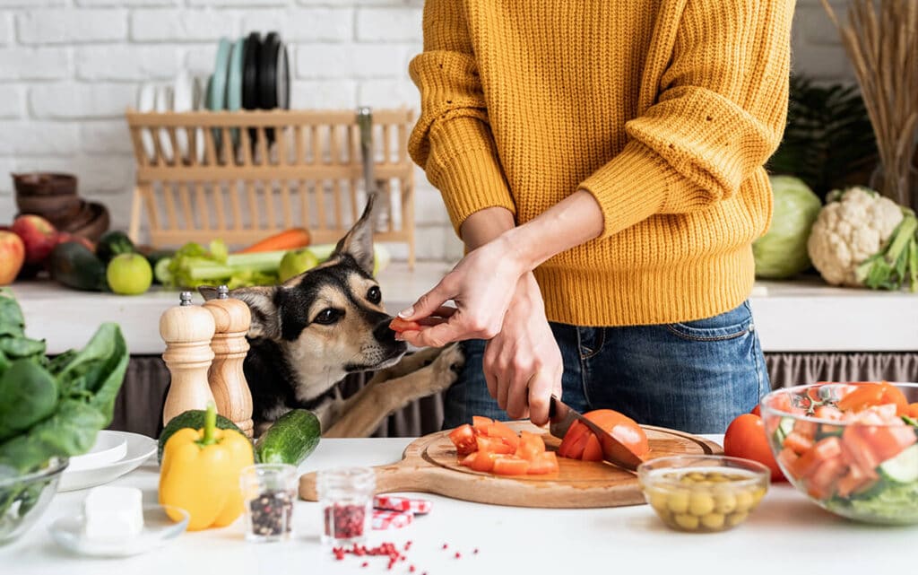 Brindle Onderzoekt- Statistieken over honden in Nederland in 2021 - Groenten geven aan hond